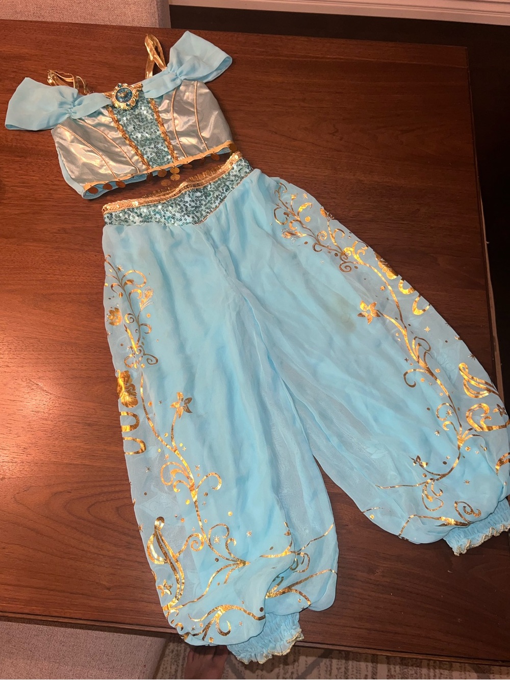 Disney Jasmine Costume